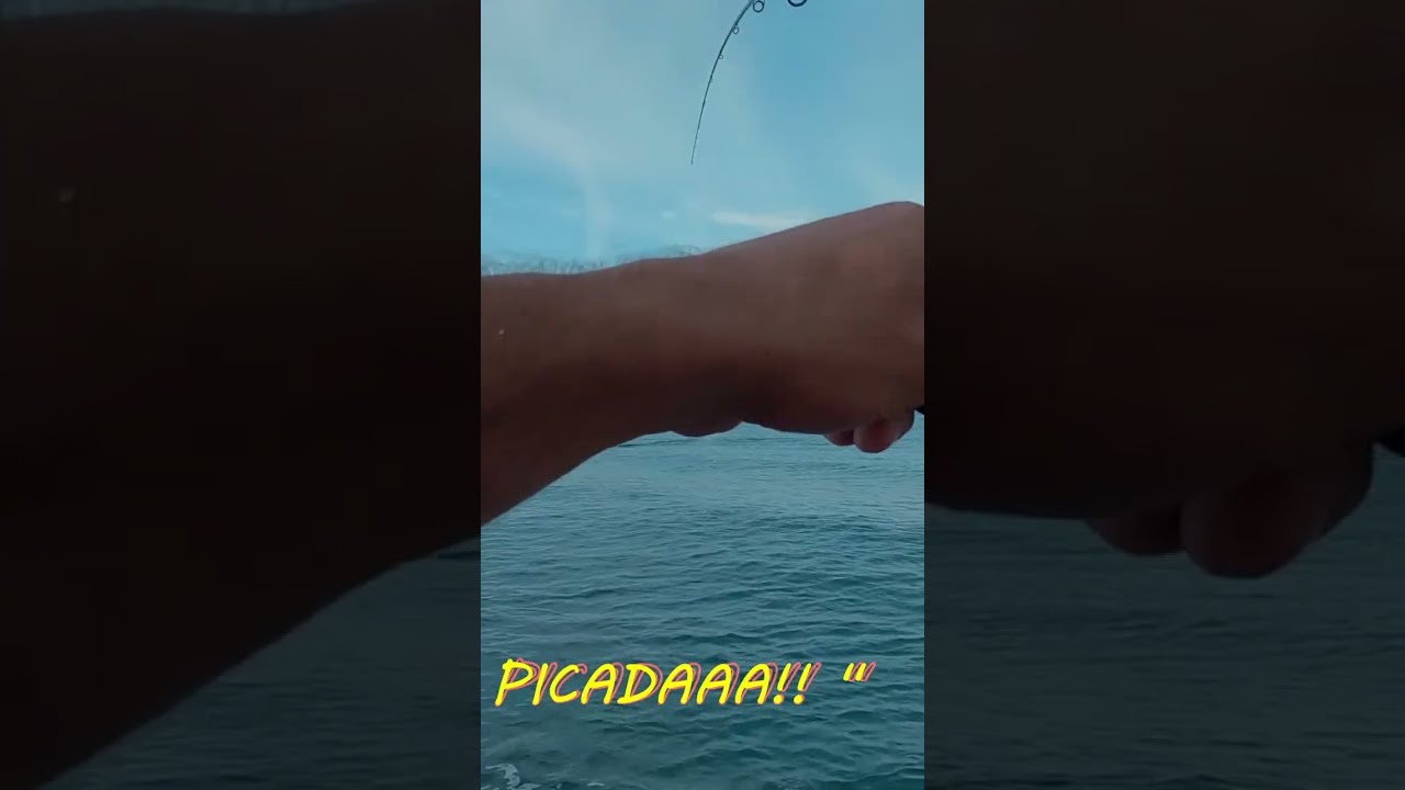 Picada instantánea con Slow Blatt Oval — ¡letal en caída!🎯