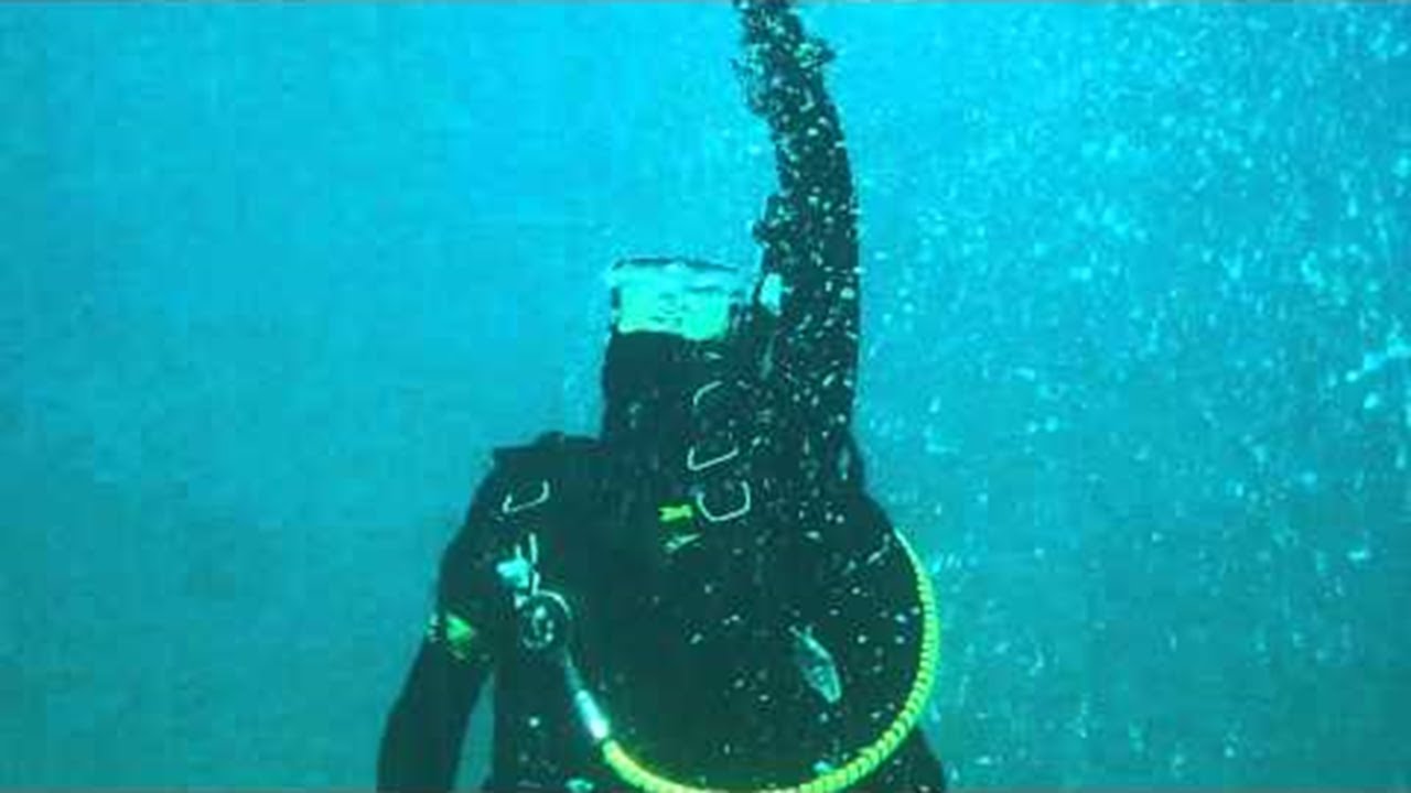 Formation plongée Marseille Aquadomia niveau 4