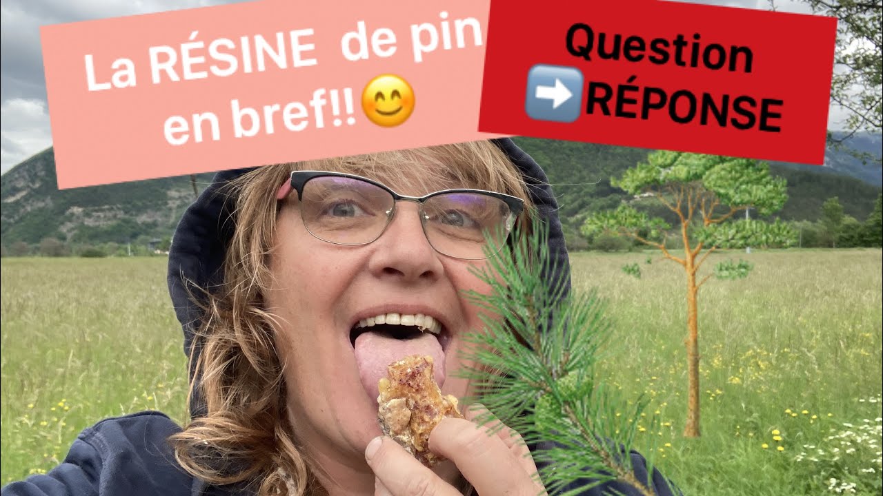 🌲La résine de pin en bref!🌲(réponse à 1 question pour rebouchage trou bouleau)