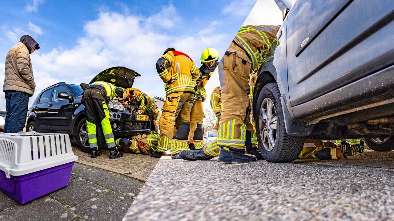 Wijchense brandweer bevrijd kat uit motor compartiment