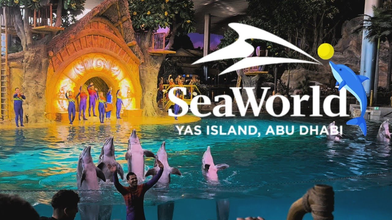 SeaWorld Yas Island, Abu Dhabi - Dolphin Show full performance