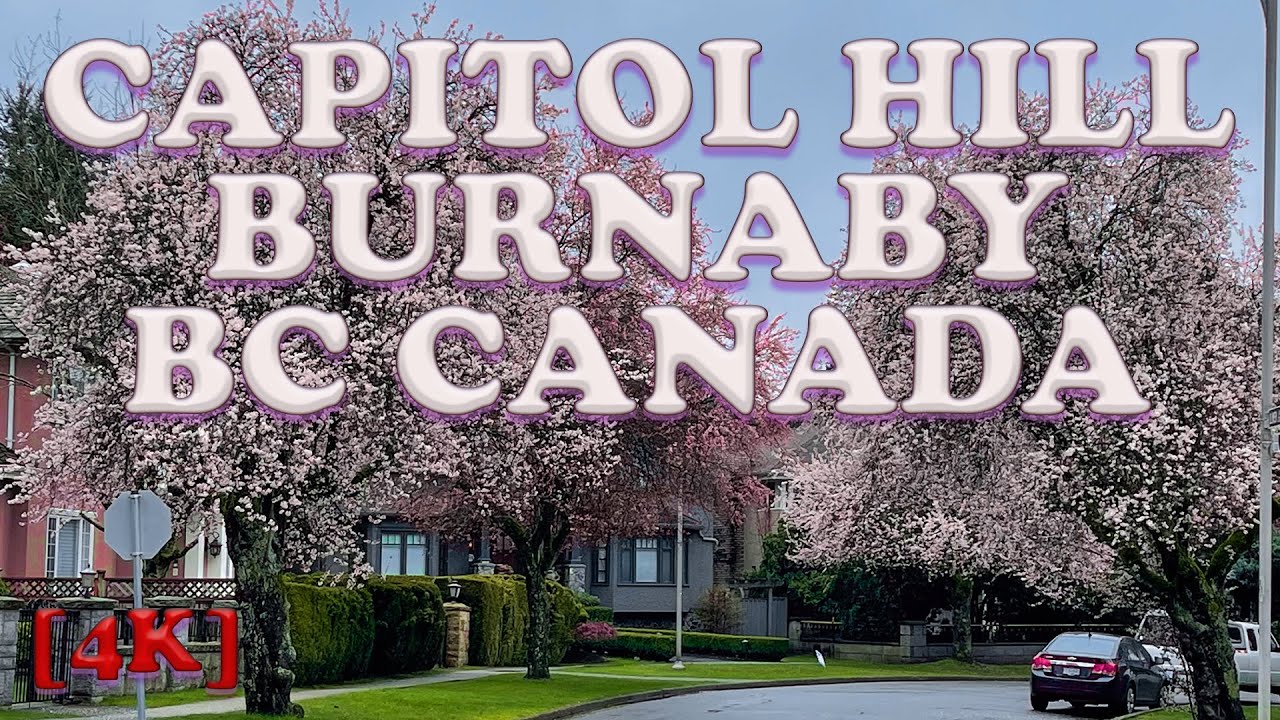 🌸🇨🇦 Cherry Blossom Capitol Hill | Burnaby BC Canada April 2022 [4K] Driving Tour