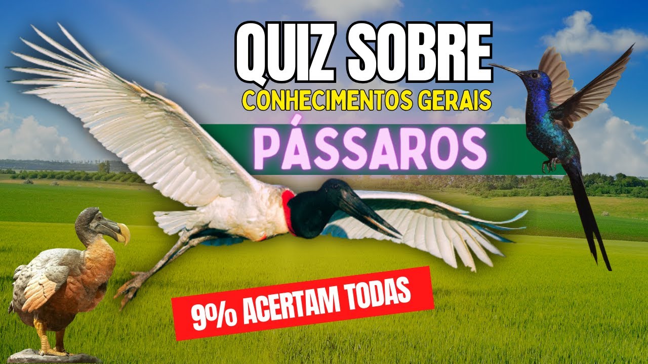 🚨QUIZ SOBRE CONHECIMENTOS GERAIS - PÁSSAROS | com respostas comentadas.