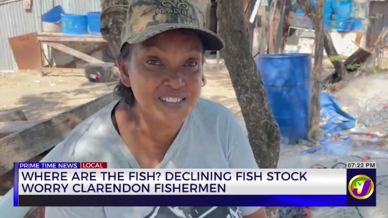 Where are the Fish? Declining Fish Stock Worry Clarendon Fishermen | TVJ News