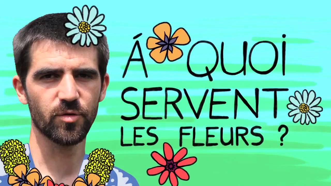 A quoi servent les fleurs ? - Question Naturalix#6