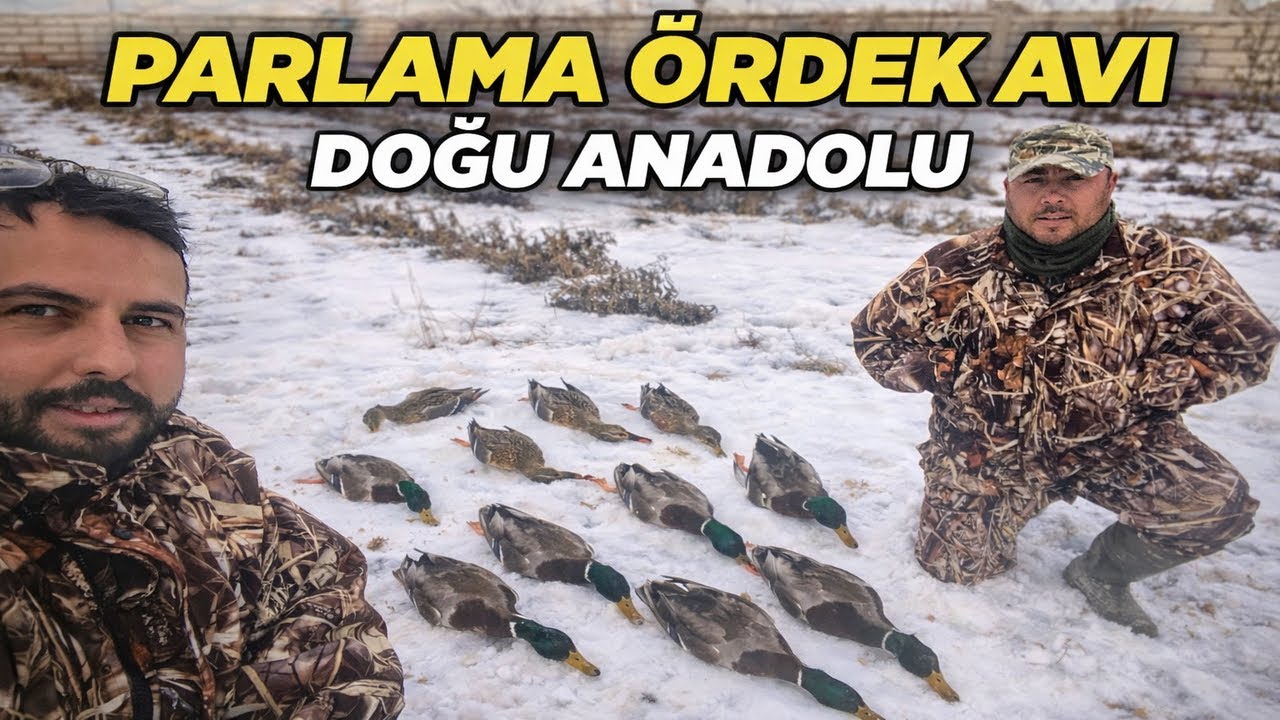 DOĞU ANADOLU PARLAMA ÖRDEK AVI 2026 🦆🦆 | TEK ATIŞTA 2 YEŞİLBAŞ ÖRDEK VURDUM | HERYERDEN ÖRDEK KALKTI