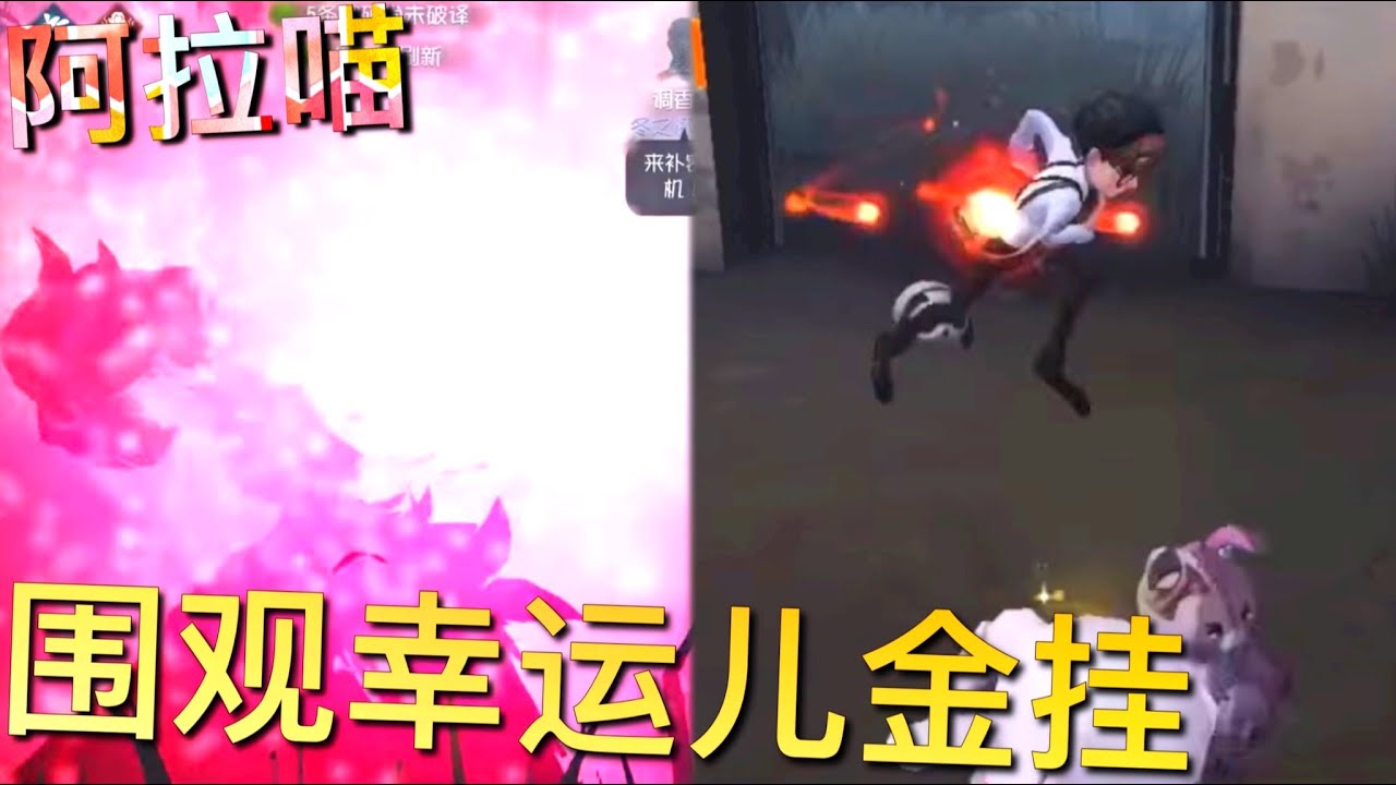 【第五人格】可妮兔遇到金挂幸运儿 ！ಥ_ಥ 我没有 我就看看...