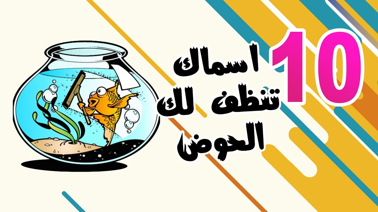 10 أسماك خدمية لا غنا عنها في احواض الاسماك