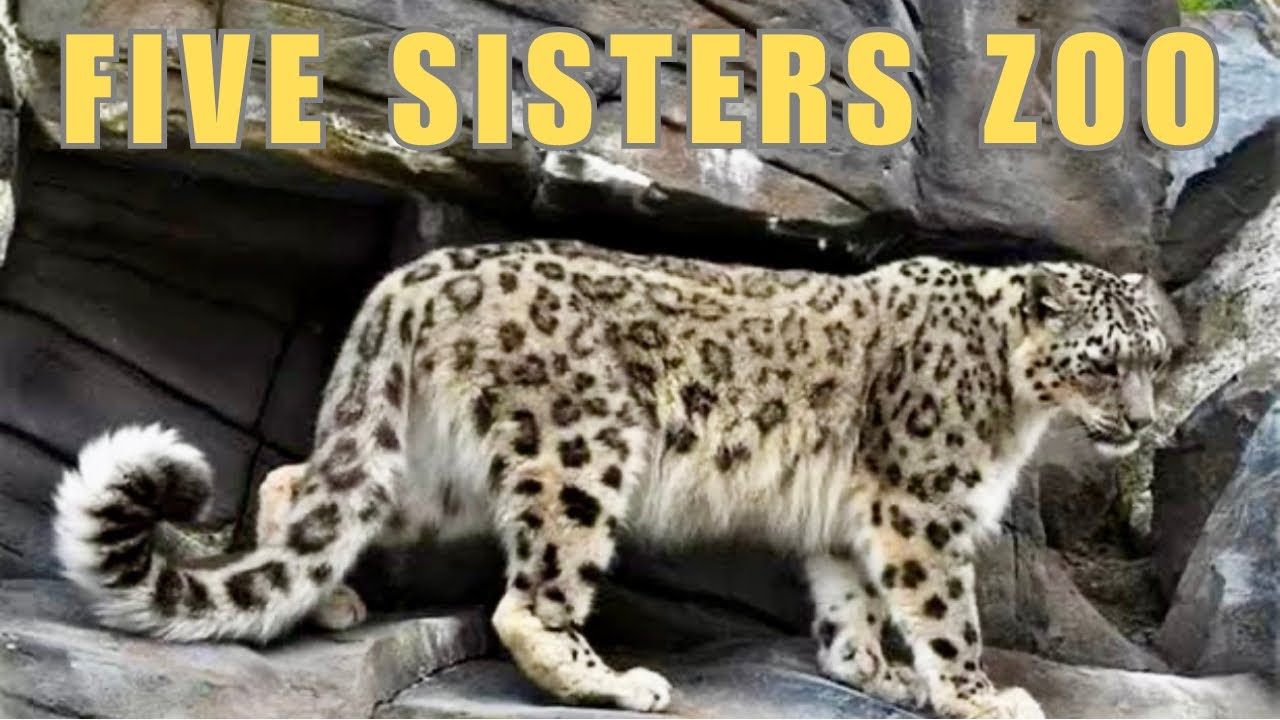 Five Sisters Zoo | West Calder | Scotland