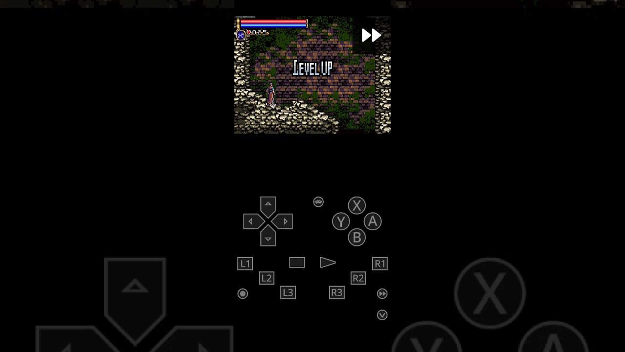 Castlevania quick level up Fighter #castlevania #COTM