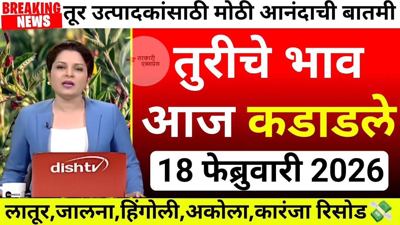 तुरीला आज सर्वाधिक 8700 रु भाव| tur bajar bhav akola|Tur bajar bhav jalana|tur bhav today