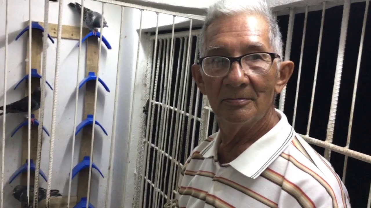 En el Palomar de Alfredo Peña Trujillo Holguin Cuba 2018
