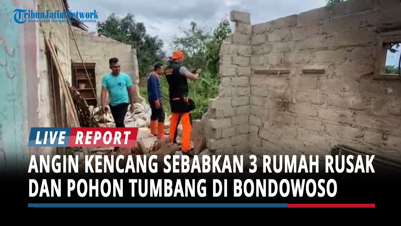 BREAKING NEWS : Angin Kencang Sebabkan 3 Rumah Rusak dan Pohon Tumbang di Bondowoso