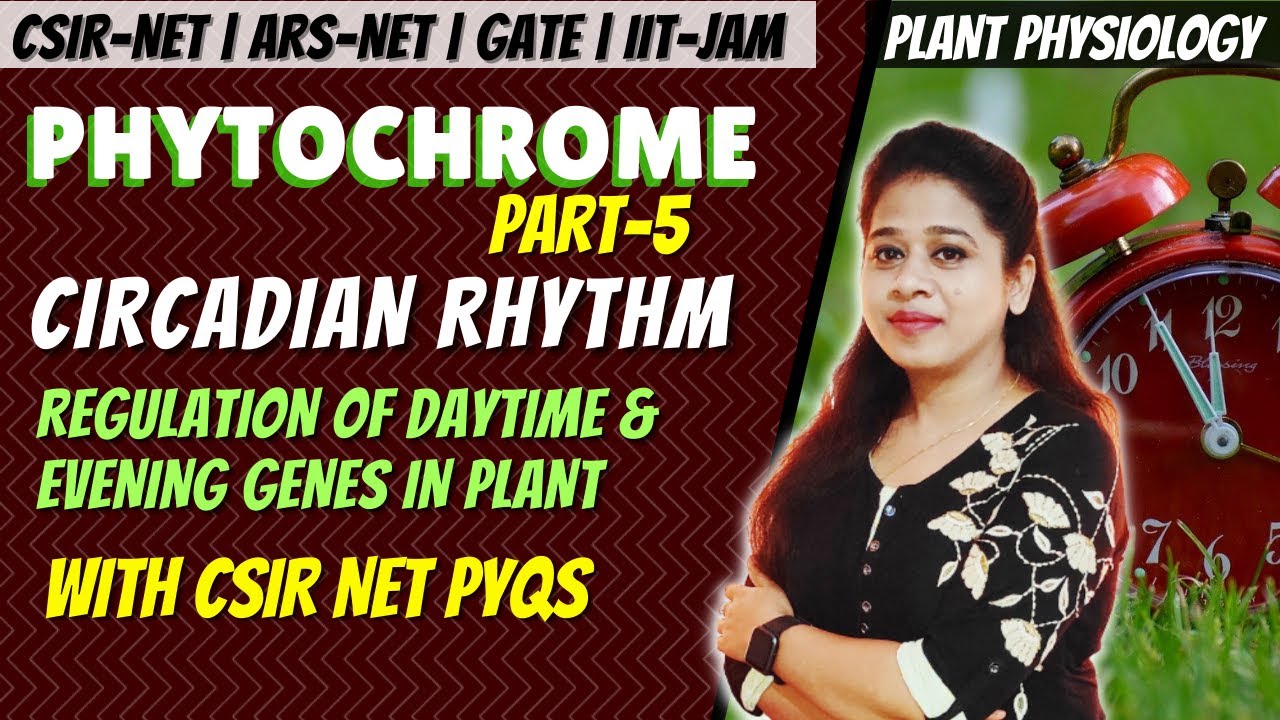 Phytochrome -5 | Phytochrome CSIR NET |  Circadian Rhythm in Plants | Plant Physiology CSIR NET