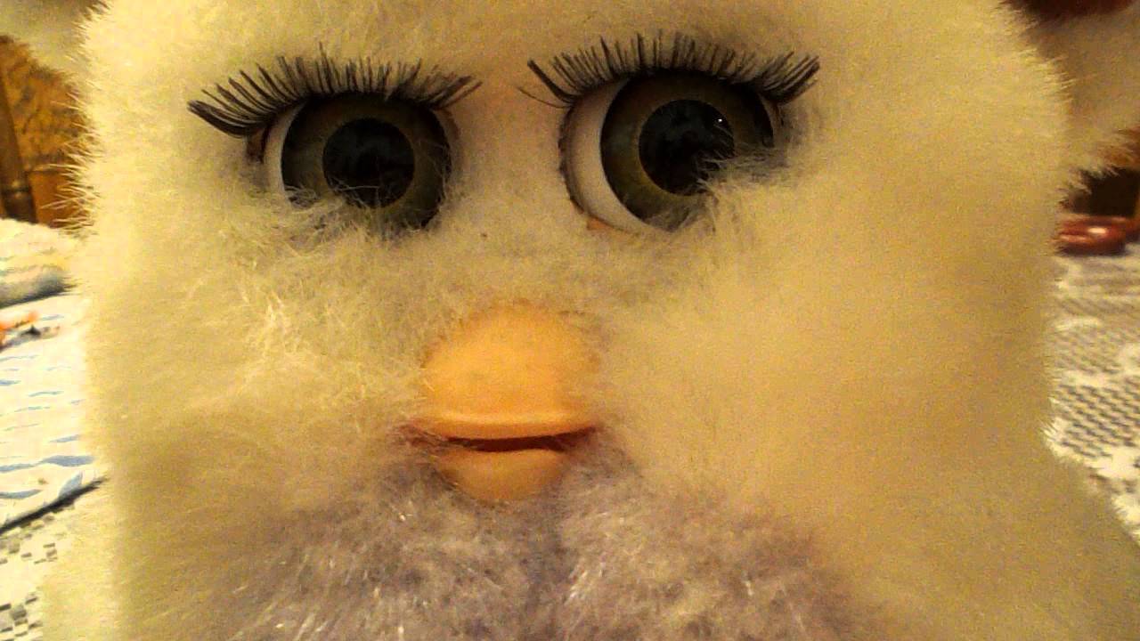 Furby Saying 