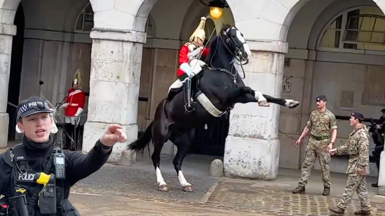 King’s Guard Shows Exceptional Horsemanship when Tourists Did this ( at horse guards parade)