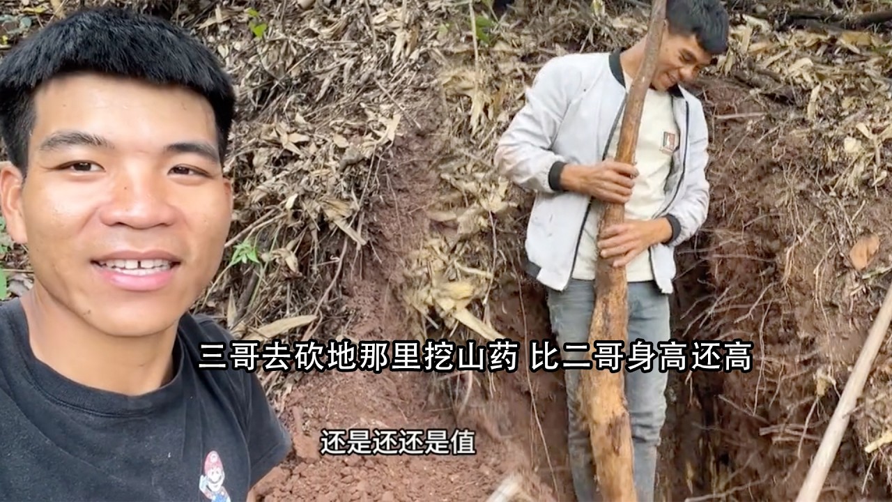 三哥去砍地那里挖山药，挖了非常多特别大，带小孩去镇上的小医院看病 #老挝#三农