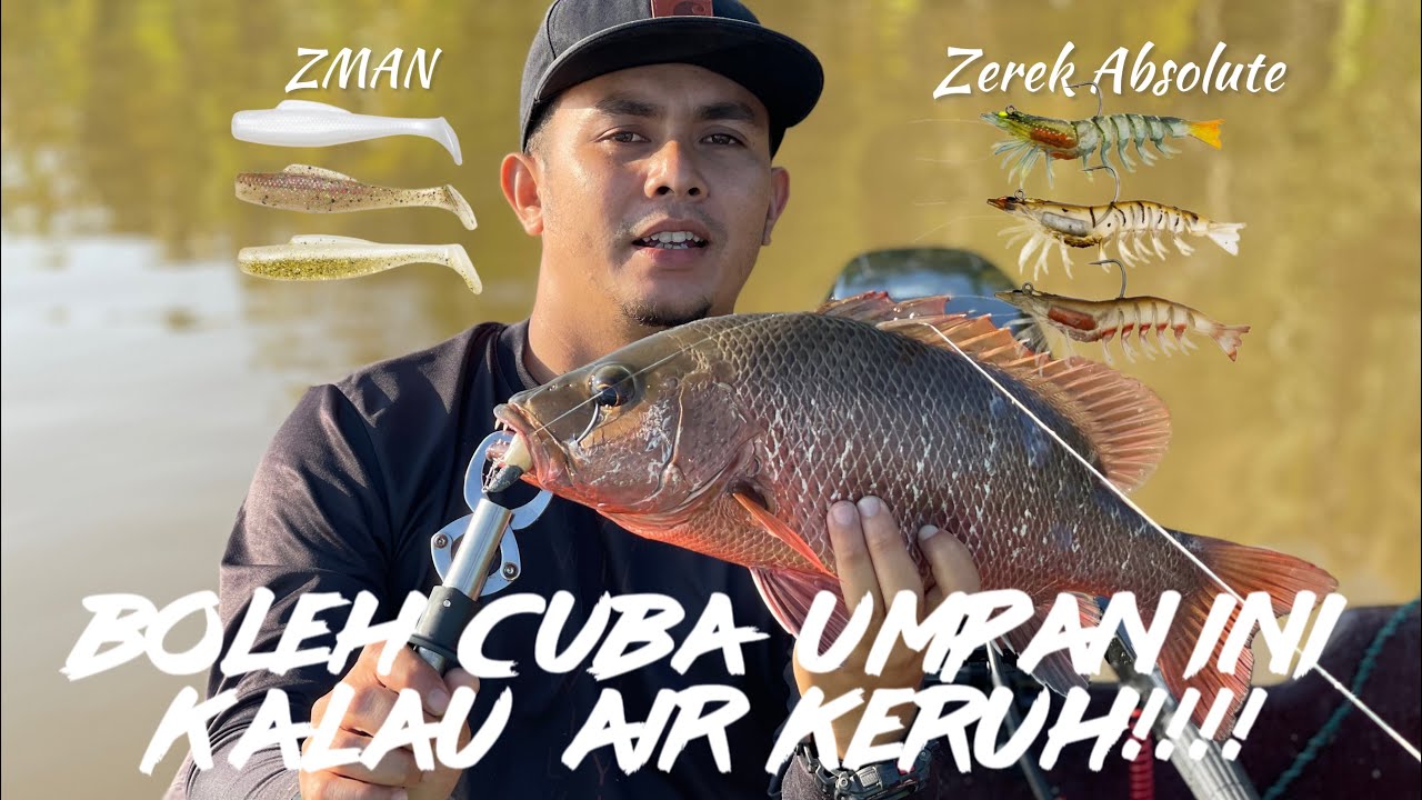 MERAH BUAT ABANG MARAH | seasir repeater | seasir megacuda