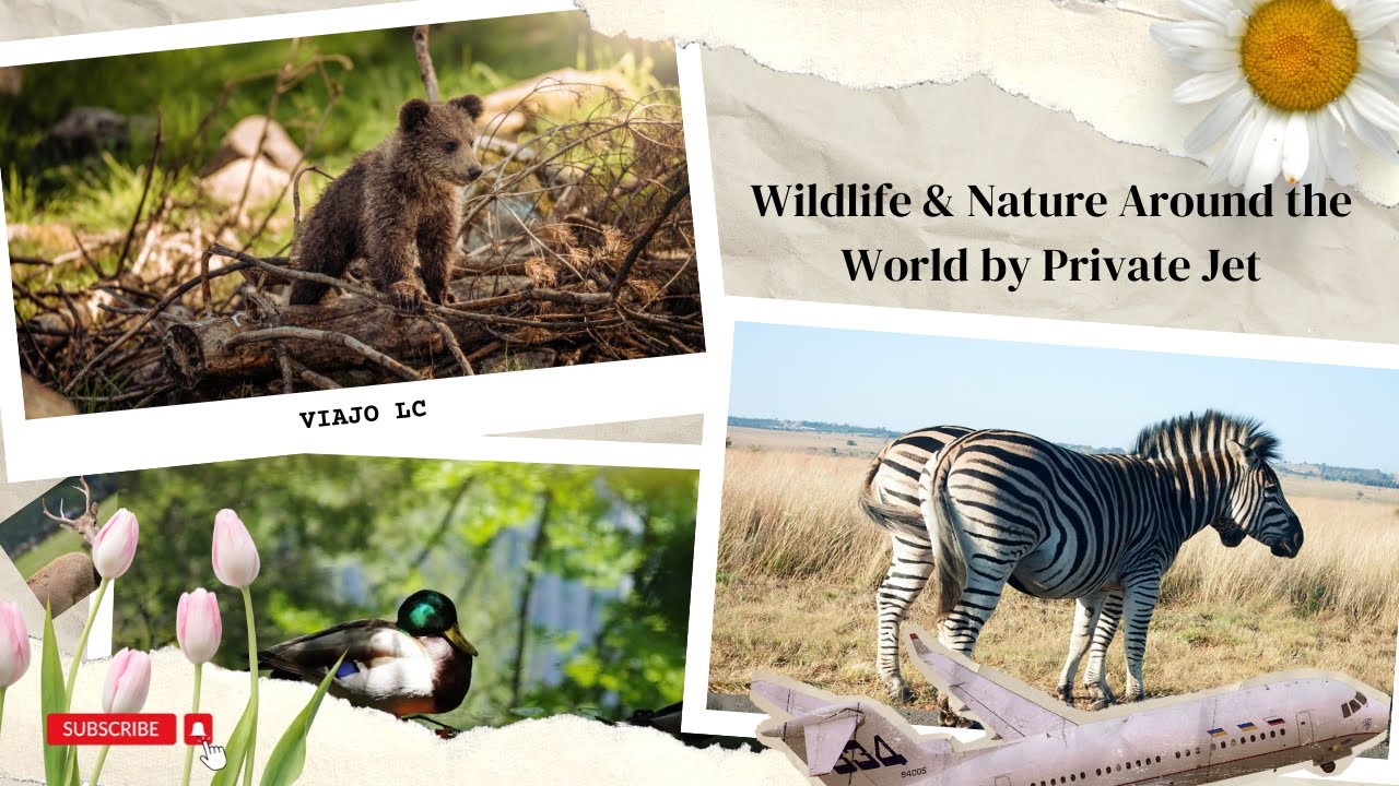 Viajo LC - Wildlife & Nature Around the World by Private Jet