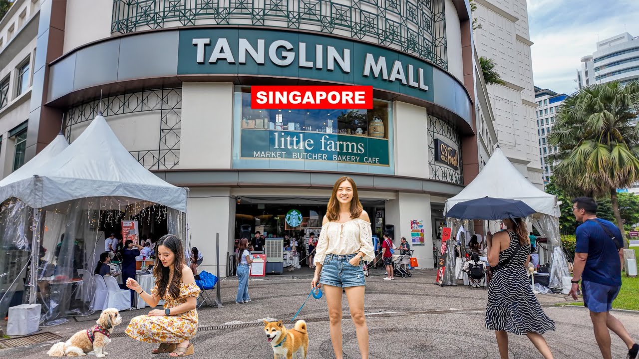 🛍️ Singapore Mall Tour | Tanglin Mall | Singapore Most Popular Mall for Expatriate and Professional