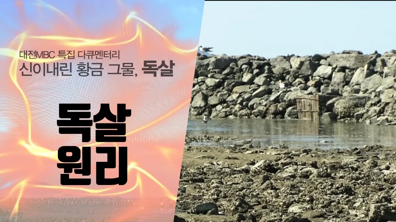 독살 원리 (다큐멘터리 &lsquo;독살&rsquo; 중에서)
