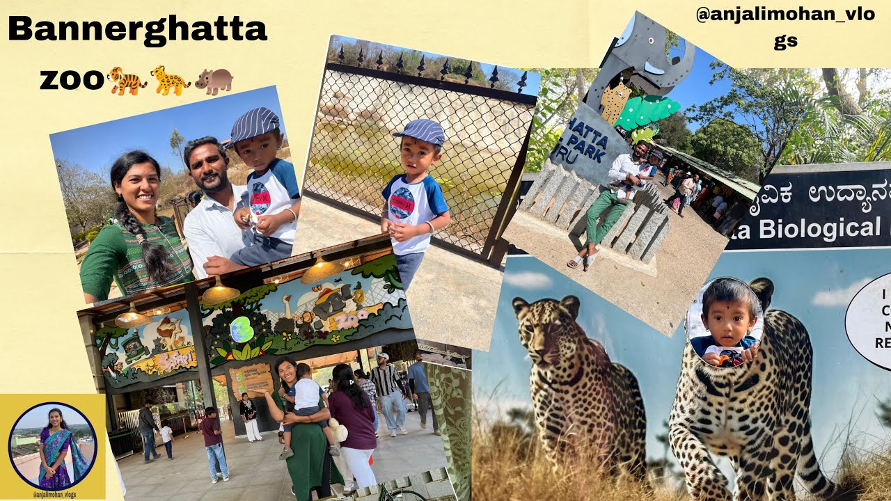  Banneragatta safari video😍  na first voiceover video 🤞