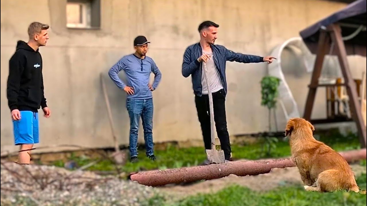 🇷🇴 INICIAMOS UNA NUEVA CONSTRUCCIÓN CON LA AYUDA DE MI HERMANO 🇷🇴
