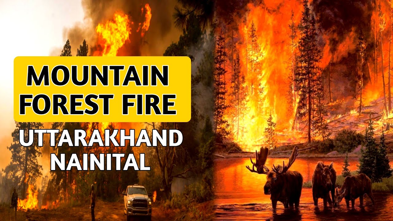Nainital Uttarakhand India | Nainital Forest Fire | Naina Devi Temple | Nainital Tourist Places