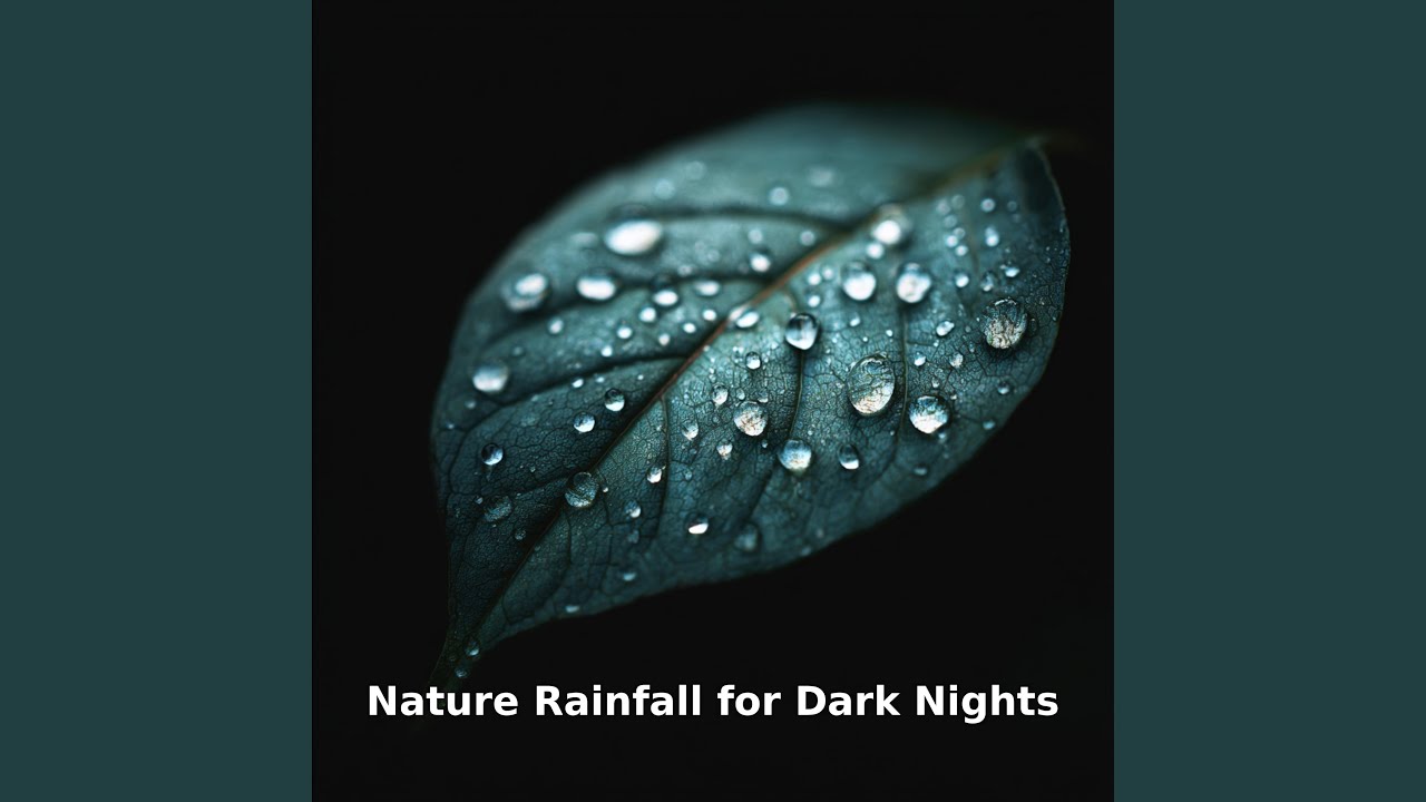 Nature Rain in The Dark, Pt.17