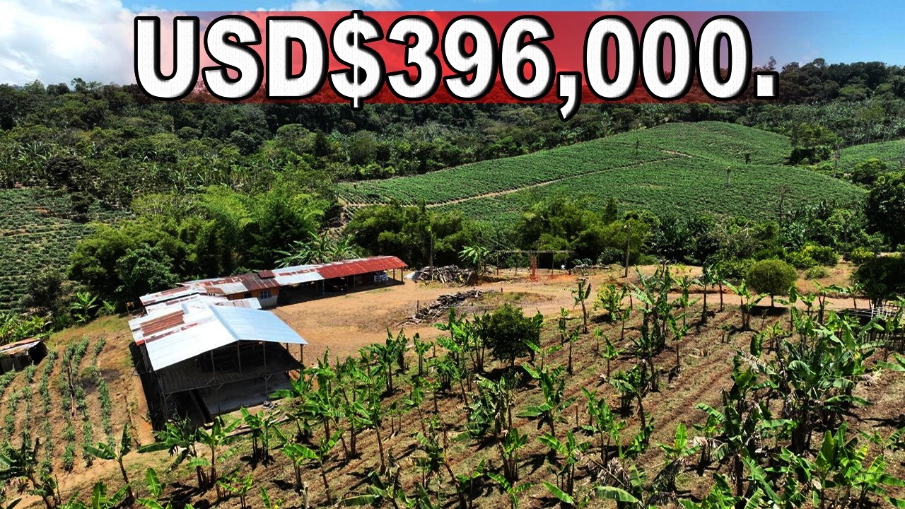 #ПРОДАЕТСЯ Земельный участок площадью 32,9 млн унций (акров) в Хинотеге, #Никарагуа