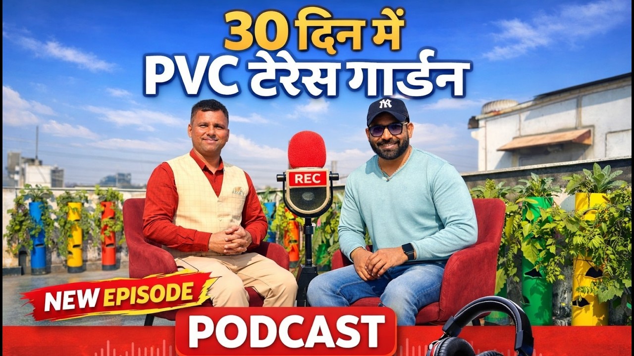 अब आपकी छत बनेगी हरी-भरी – PVC टेरेस गार्डन में हम उगाकर देंगे ताज़ी सब्जियाँ!