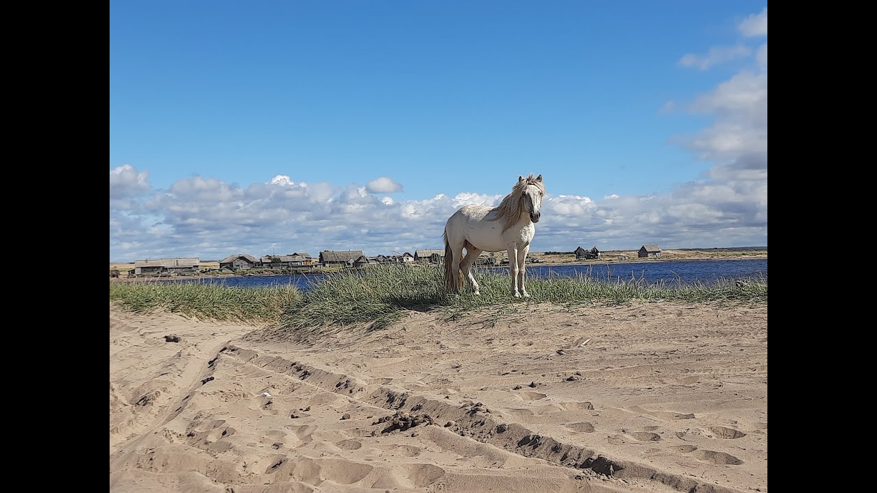 На Кольский №7 село Кузомень, село Варзуга