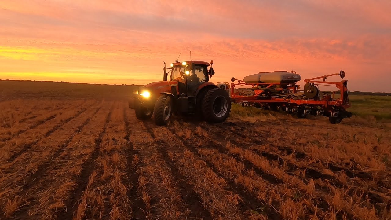 Replanting Corn and Beans