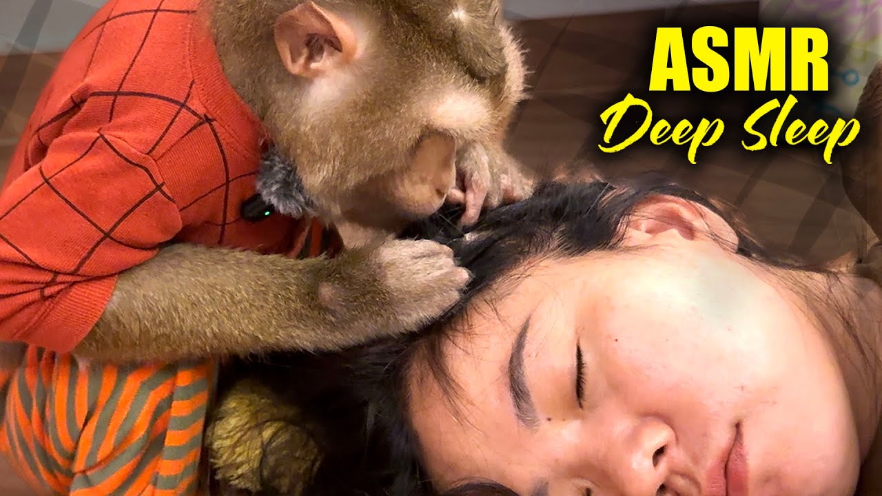 ASMR Deep Sleep | Real Monkey Scalp Grooming For Instant Sleep & Stress Relief (No Talking)