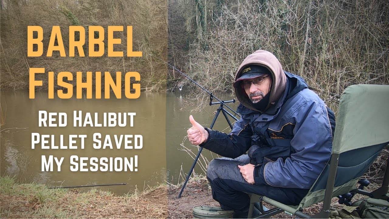 Le Pellet Halibut Rouge sauve ma session ! | P&ecirc;che du Barbeau au Feeder | Ep.23