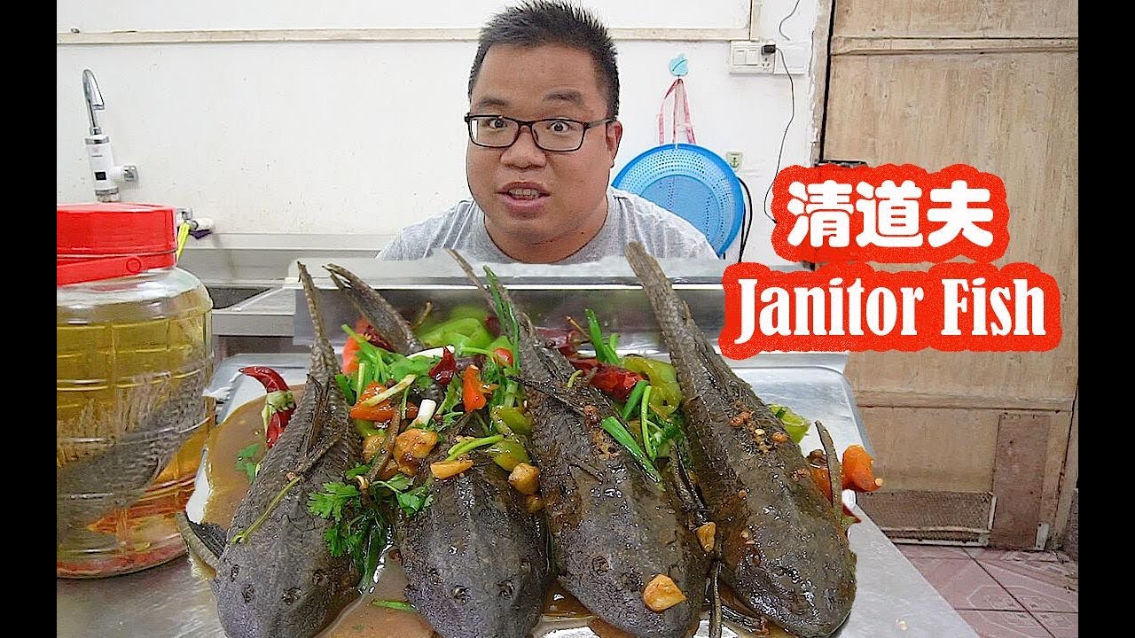 清道夫王者歸來，肥仔一次煮4条大清道夫，網友：清道夫教父