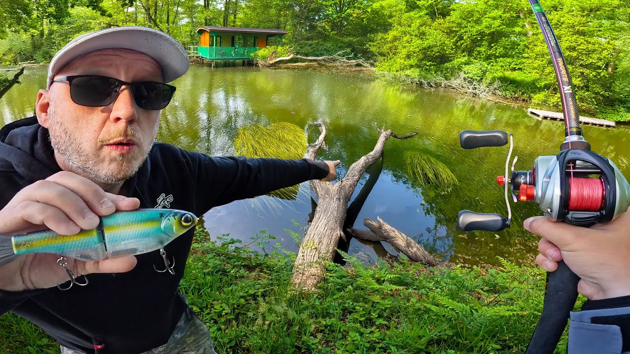 Mon père me montre son spot secret et ça cache plein de poissons !