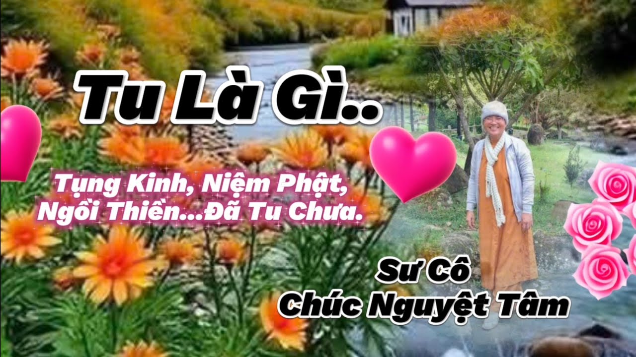 MỤC ĐÍCH TU LÀ GÌ..NGỒI THIỀN,NIỆM PHẬT, TỤNG KINH...ĐÃ LÀ TU CHƯA...SƯ CÔ CHUCNGUYETTAM.