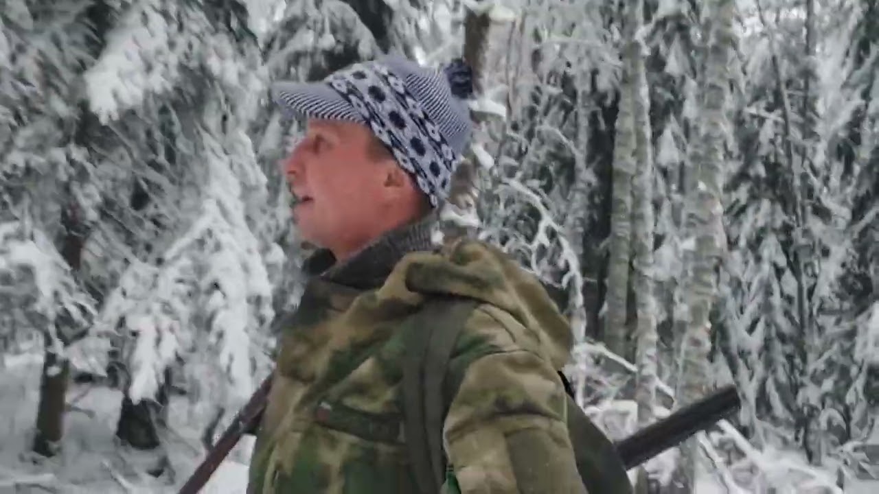 По зимнему лесу на вездеходе.