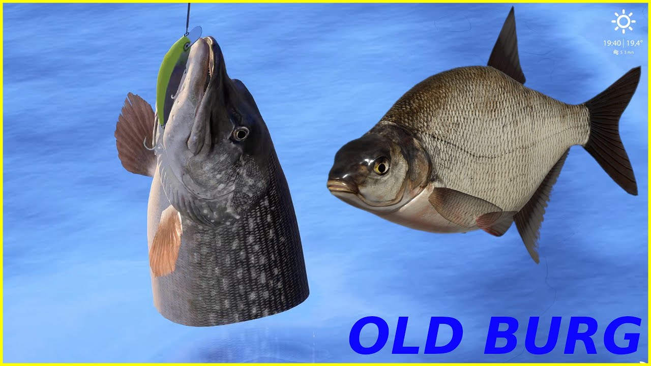 Pike + Bream spot Old Burg Russian Fishing 4 #433