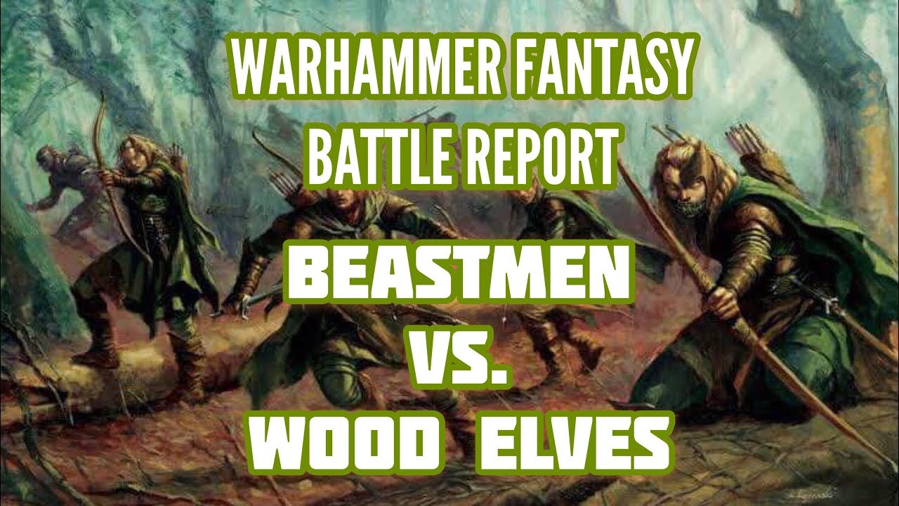 Warhammer Fantasy Battle Report 8th edition | Wood Elves Vs Beastmen | SquareHammer