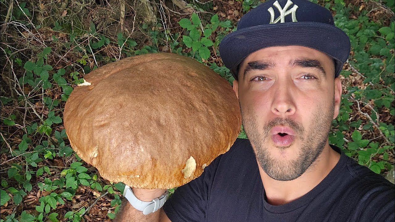 Cèpes d'été 2025 🍄‍🟫! C'est parti 🤩. Prospection du 10/09/25.