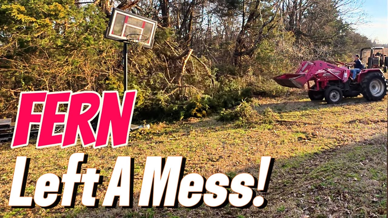 Cleanup Time on the Farm | Mahindra 5525 & Stihl Chainsaw