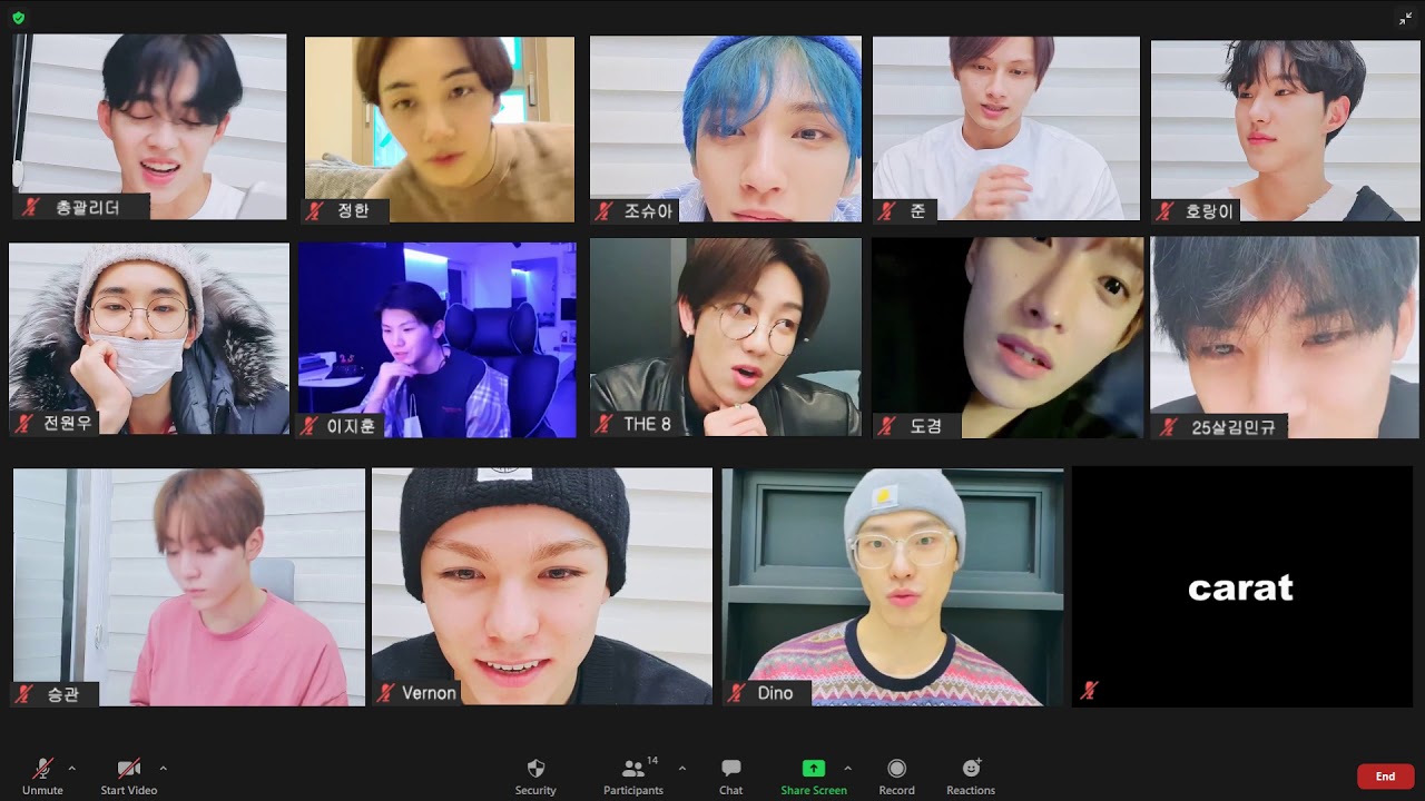 an hour zoom meeting with seventeen | study with svt