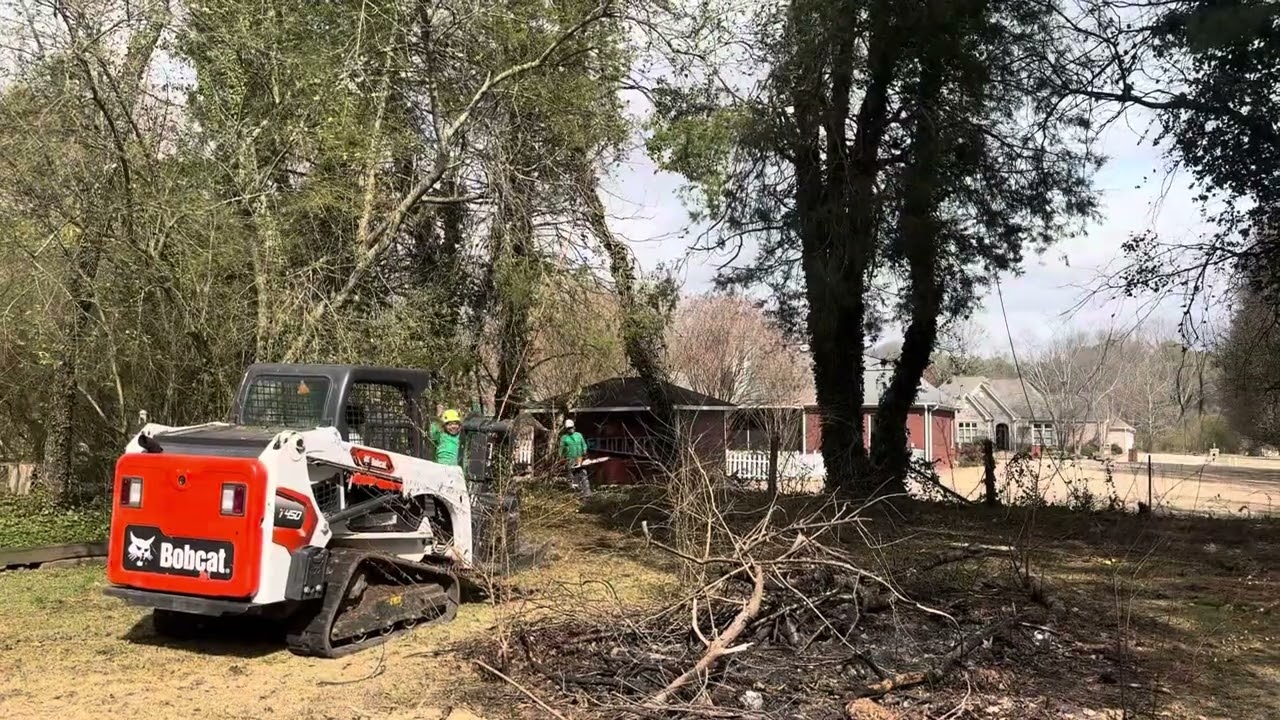 Tree Removal in Decatur,AL| RC Tree Services, LLC