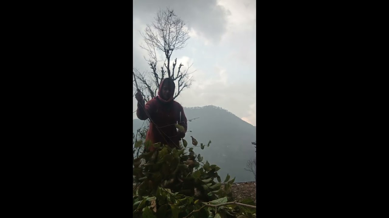 #आज हुई बारिश #,🌧️💗