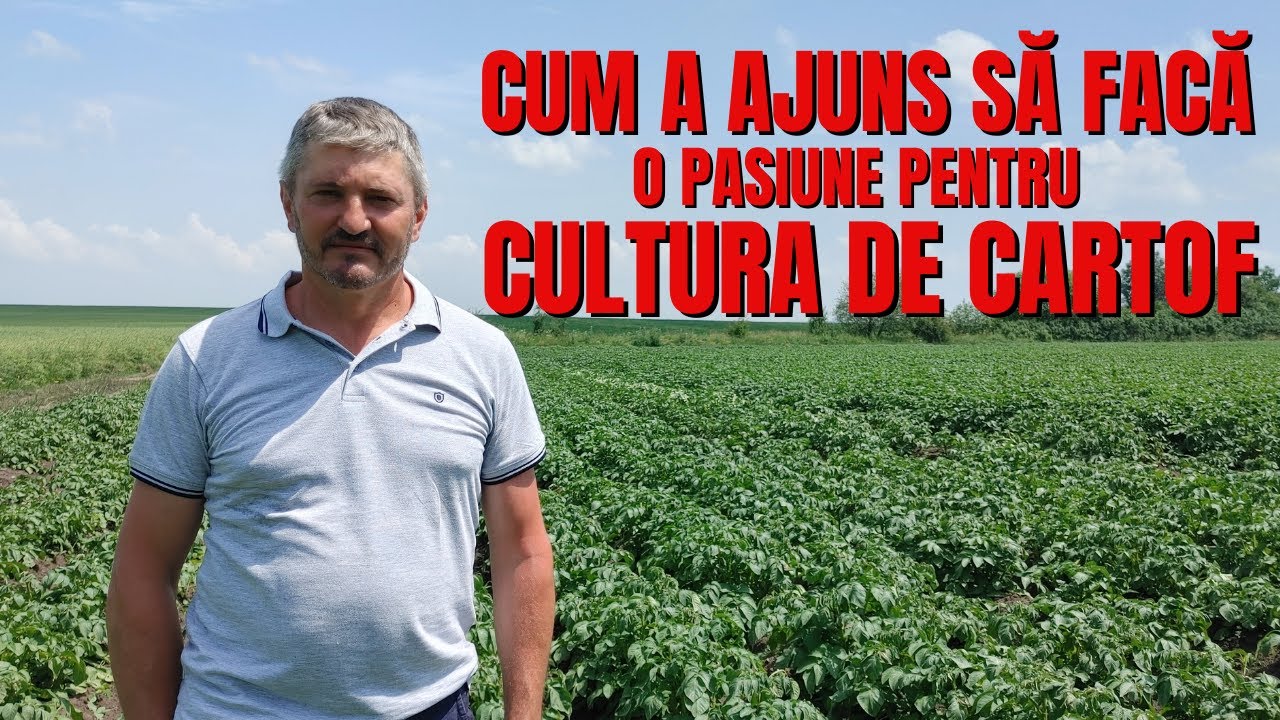 Cum a ajuns să facă o pasiune pentru cultura de cartof