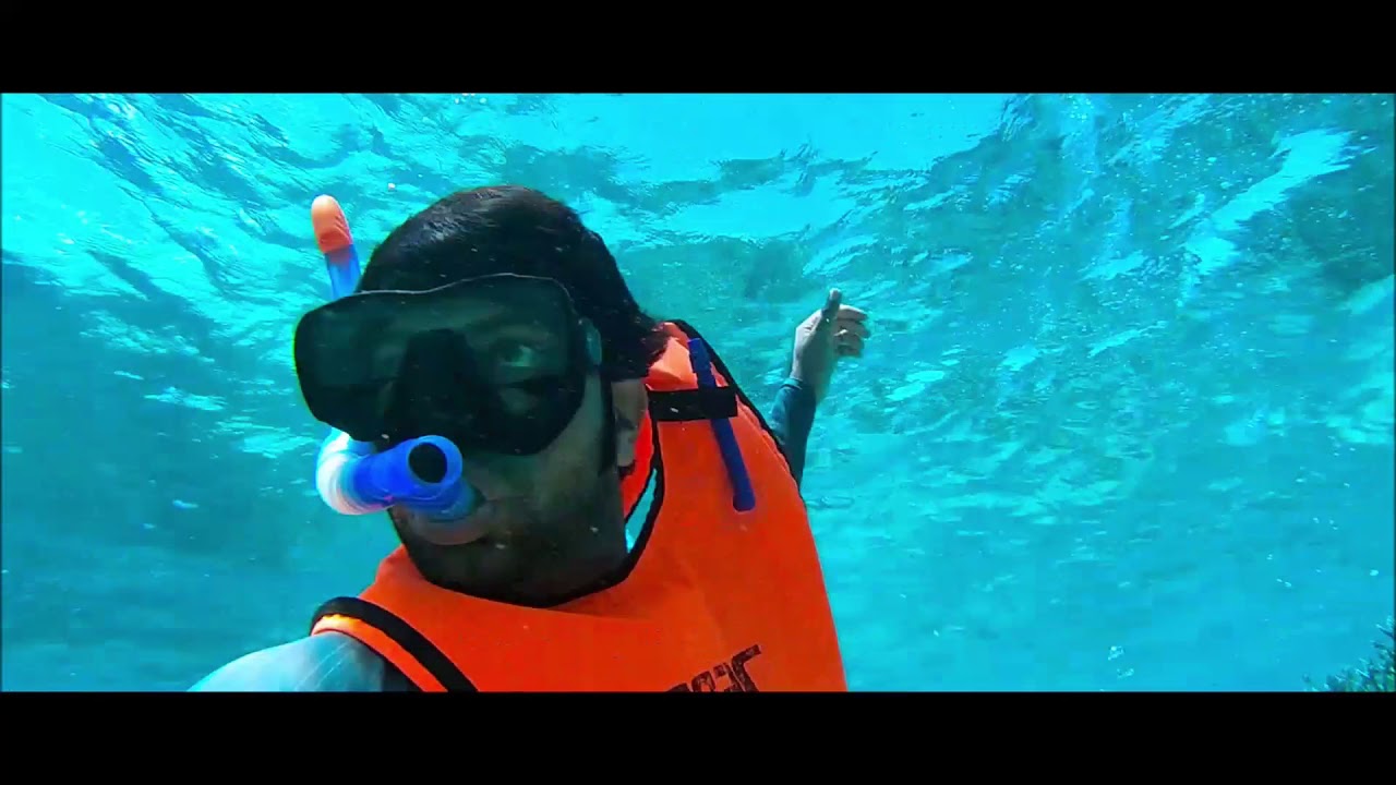 Snorkeling at Point D'esny - Mauritius