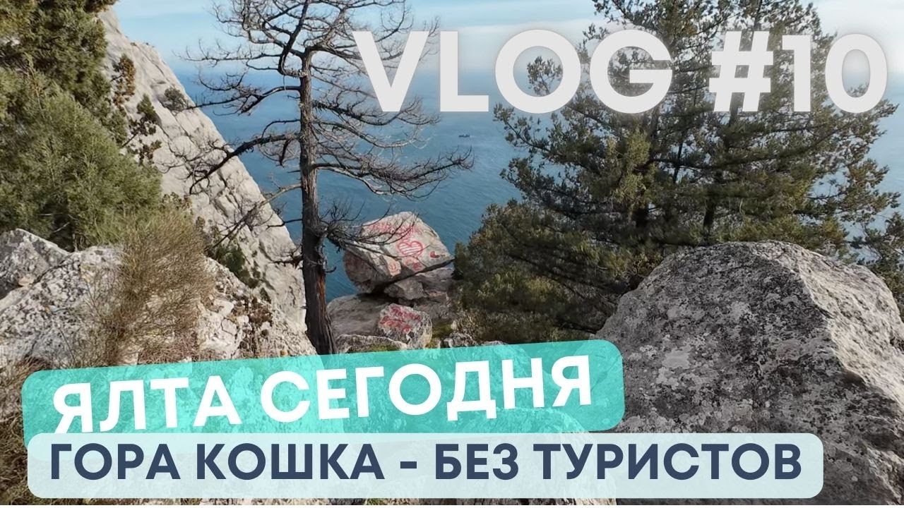 ЯЛТА СЕГОДНЯ: Гора Кошка в Ялте без туристов! Уникальный момент для прогулки 🌿😱 / VLOG 10