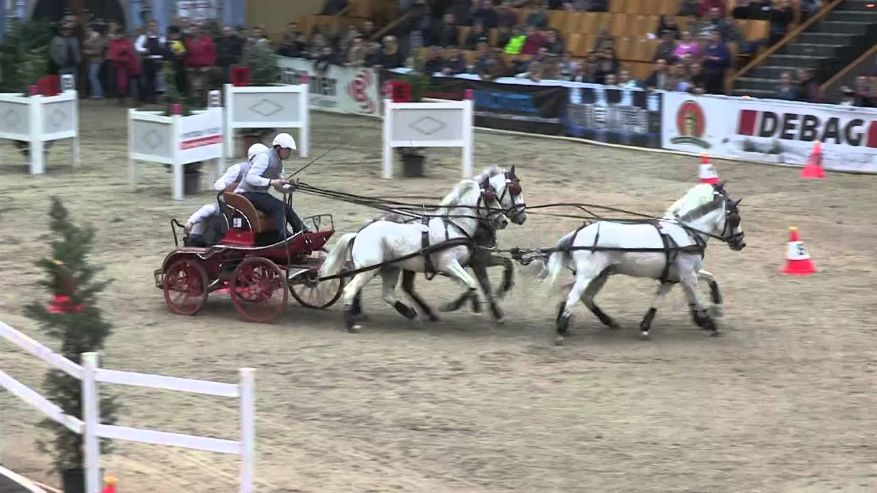 CSI Schwerin 2016 - Samstag F1 27 Prüfung Pony - Vierspänner - Nathan Nijs
